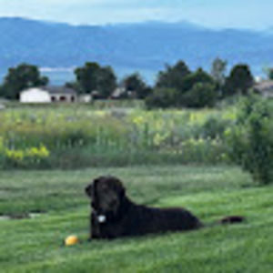 Meet your Posher, Will